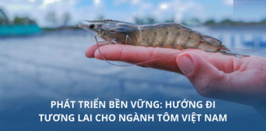 Phát triển bền vững: Hướng đi tương lai cho ngành tôm Việt Nam